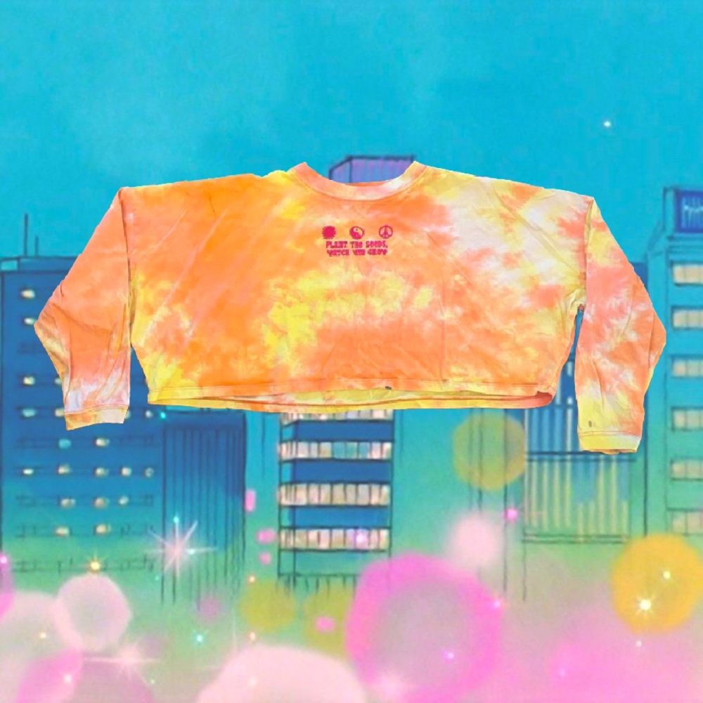 Zumiez long sleep crop top/ size small💐